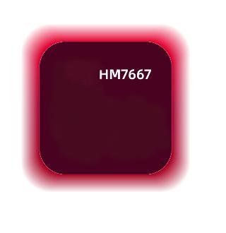 HM7667