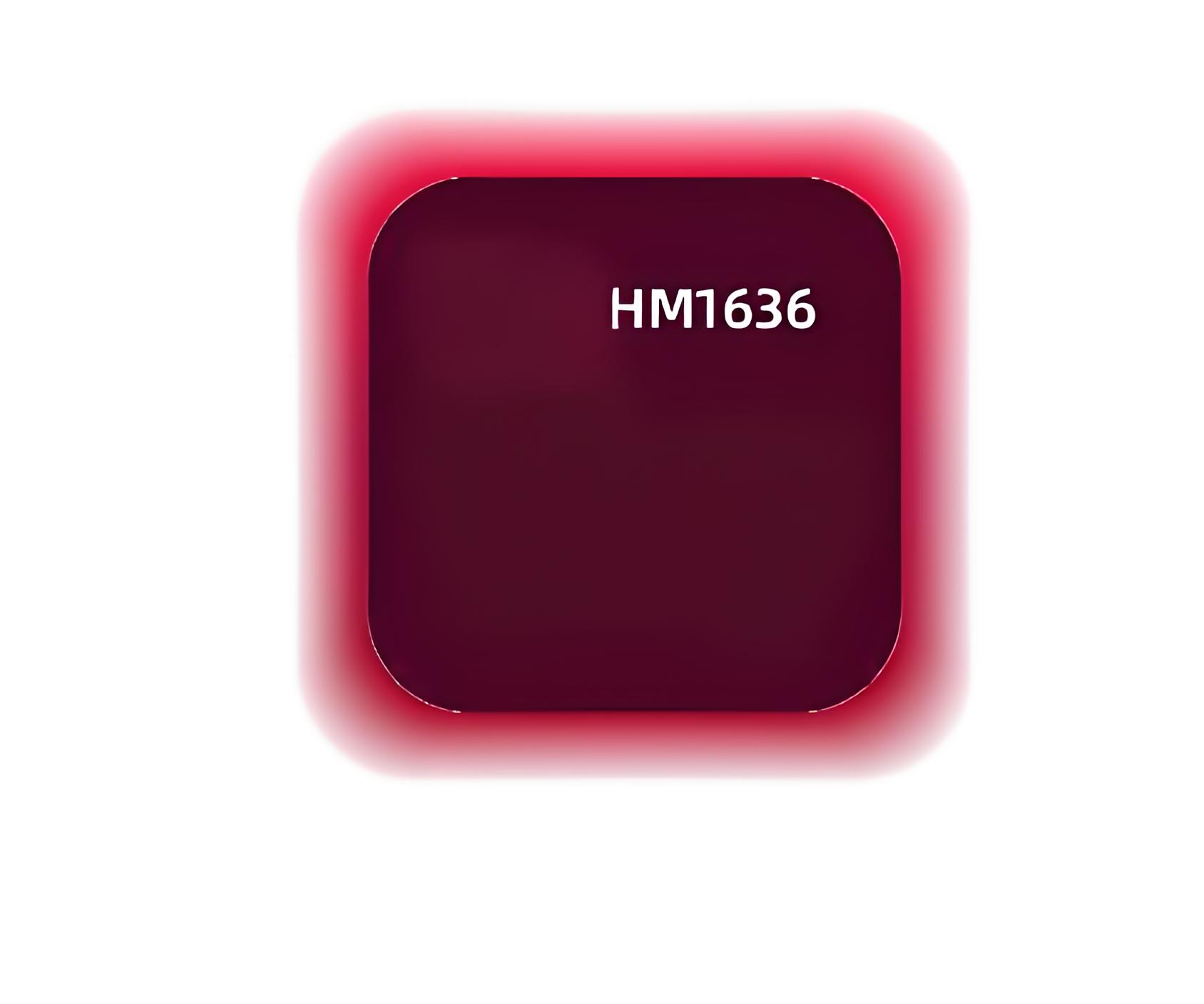 HM1636