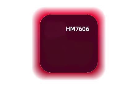 HM7606