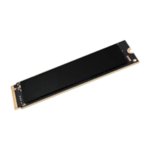 Micron 2500 NVMe™ SSD